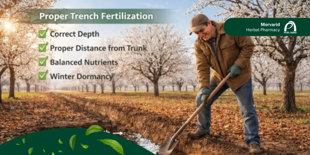 عمق مناسب چاله برای جذب بهتر مواد مغذی