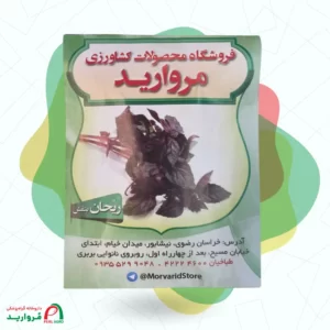 بذر ریحان بنفش خوش‌عطر برگ پهن و مقاوم برای کاشت خانگی