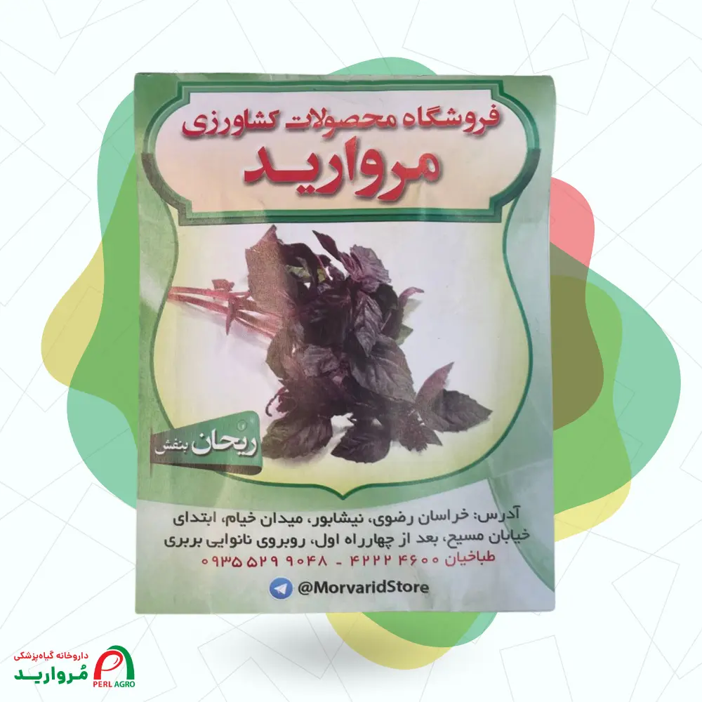 بذر ریحان بنفش خوش‌عطر برگ پهن و مقاوم برای کاشت خانگی