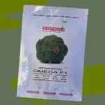 بذر بروکلی OMEGA F1 اِماسییدز هیبرید پربار و مقاوم