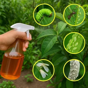 سم های حشره کش‌