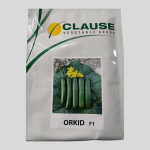 بذر خیار ارکید | کمپانی کلوز | Orkid F1
