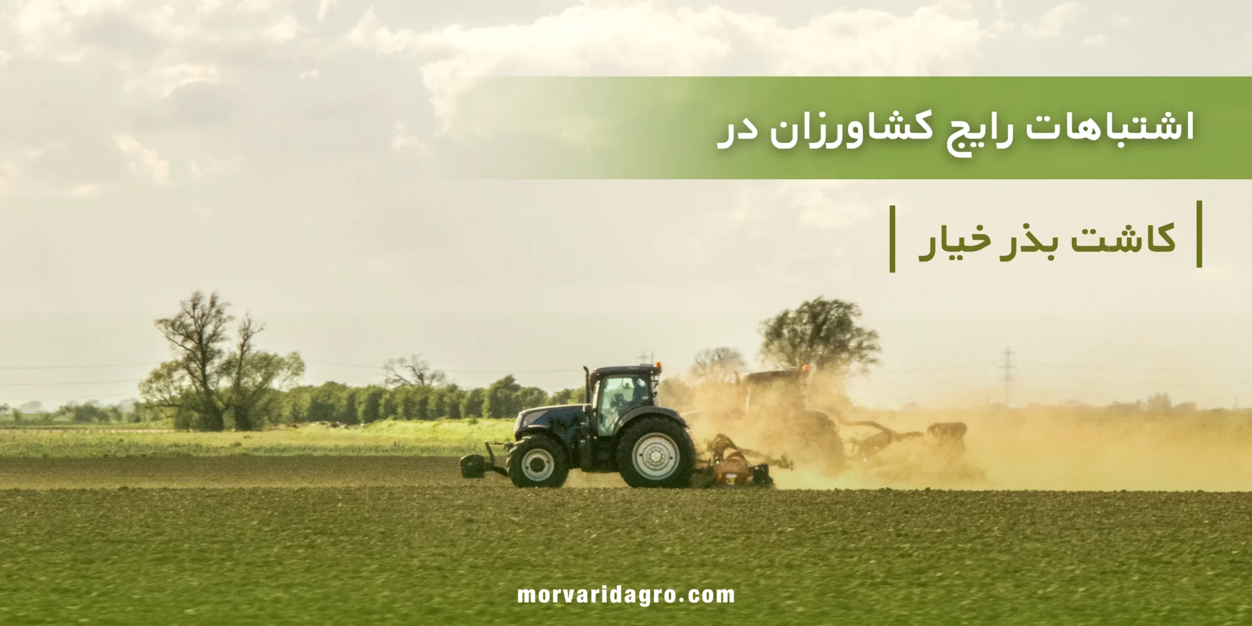 اشتباهات رایج کشاورزان در کاشت خیار