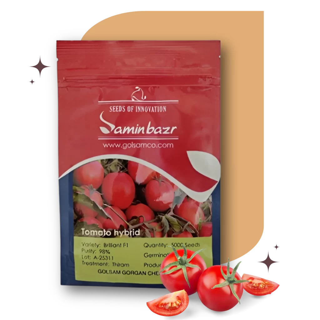 خرید بذر گوجه دیمون