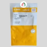 بذر خیار آپ اسکور