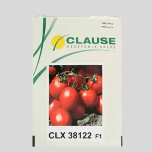 بذر گوجه سی ال ایکس ۳۸۱۲۲