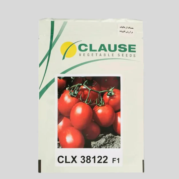 بذر گوجه سی ال ایکس ۳۸۱۲۲