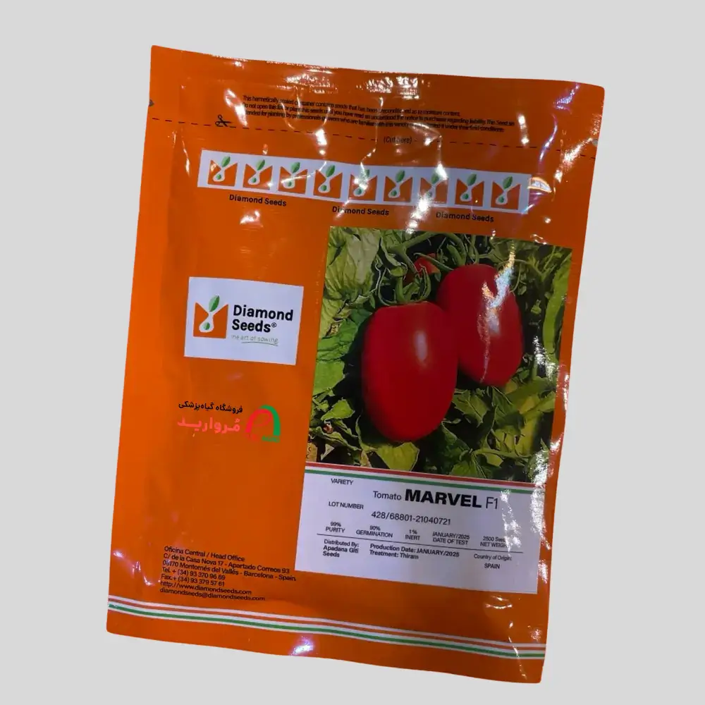 بذر گوجه مارول