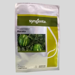 بذر هندوانه باراکا سینجنتا