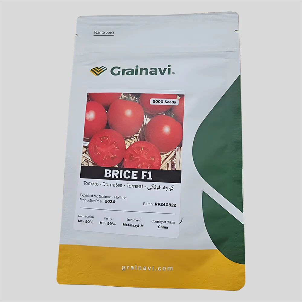 بذر گوجه فرنگی برایس