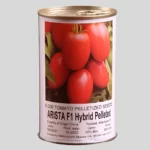 بذر گوجه آریستا