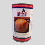 بذر پیاز پویاسید