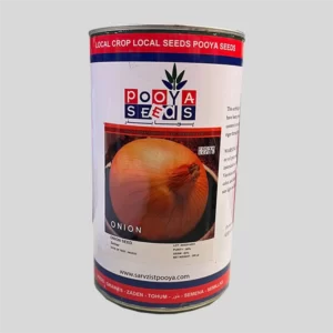 بذر پیاز پویاسید