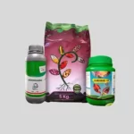 خرید کود برای ریکاوری گیاه