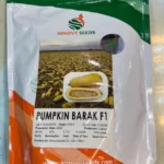 بذو کدو تنبل باراک