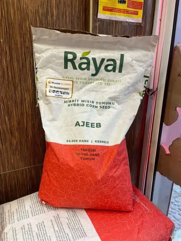 بذر ذرت رایال ترکیه ای